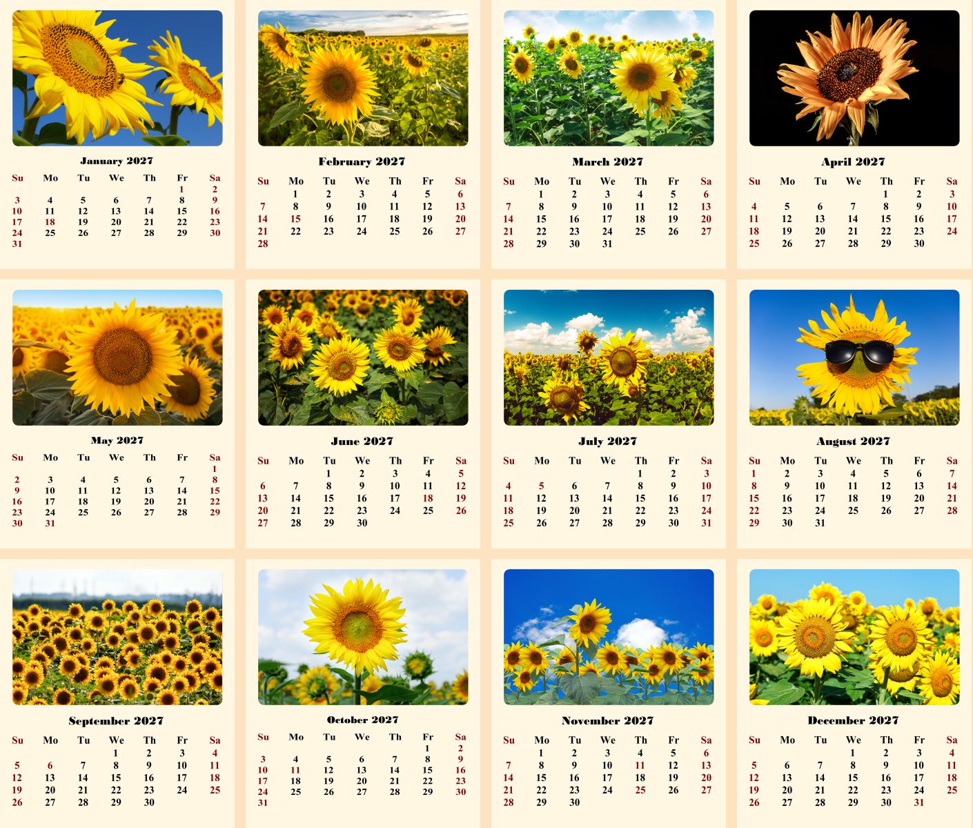 2027 CD-Style Desk Calendar 12 Months Calendar (Sunflowers)