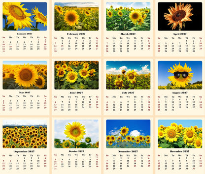 2027 CD-Style Desk Calendar 12 Months Calendar (Sunflowers)