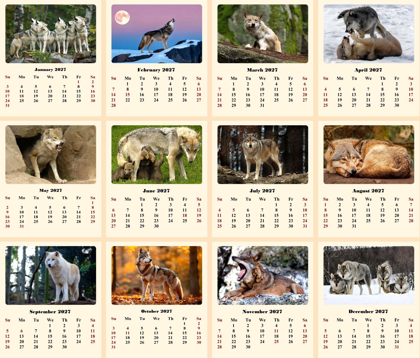 2027 CD-Style Desk Calendar 12 Months Calendar (Wolves)