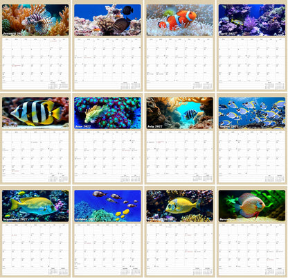2027 Calendar Magnetic Peel & Stick 12 Months 8.5" x 11" Tropical Fish