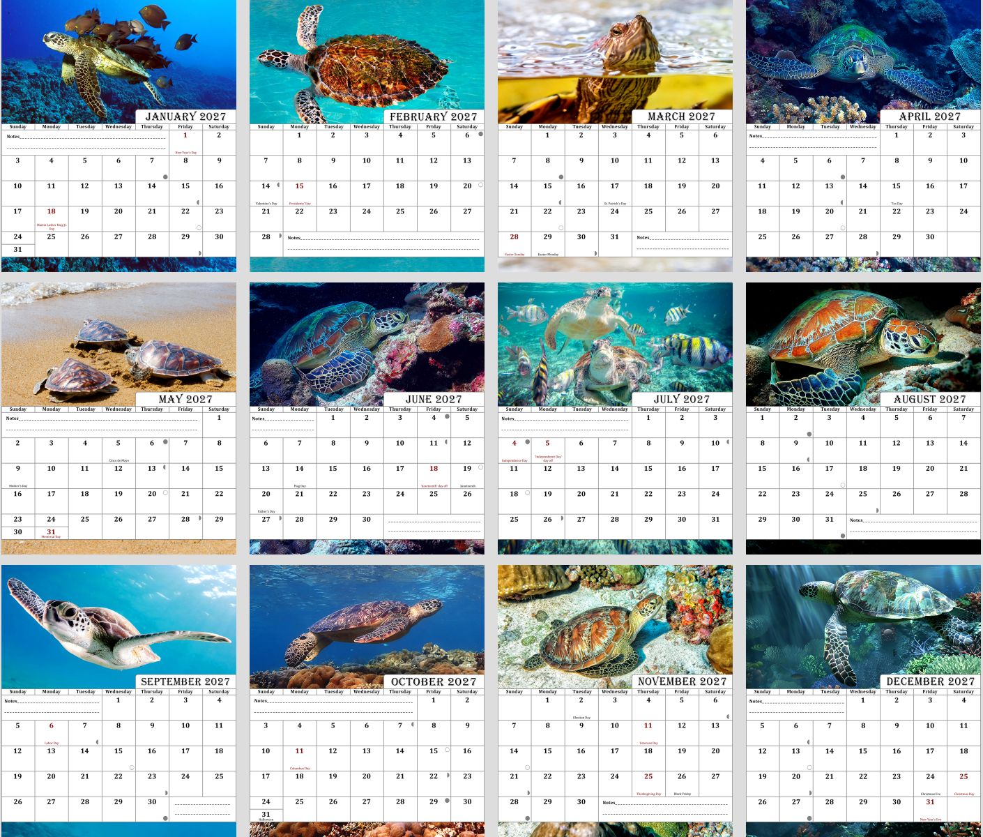 2027 CD-Style Desk Calendar 12 Months Calendar (Turtles)