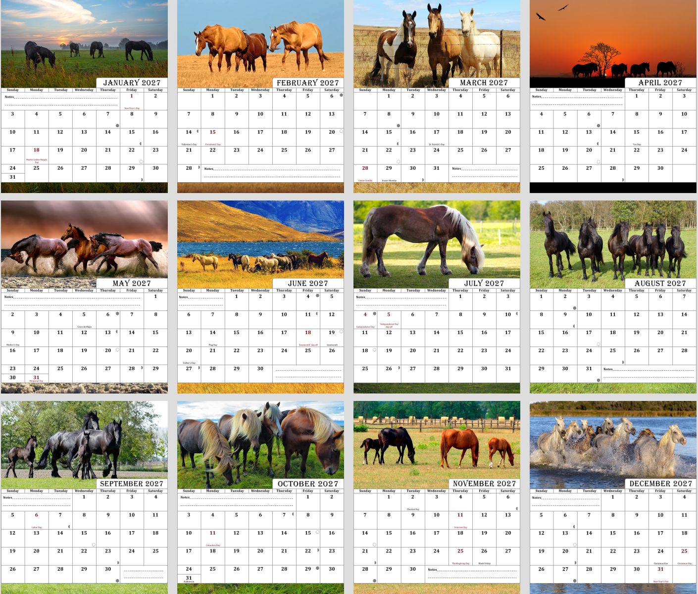 2026-2027 CD-Style Desk Calendar 18 Months Calendar (Horses)