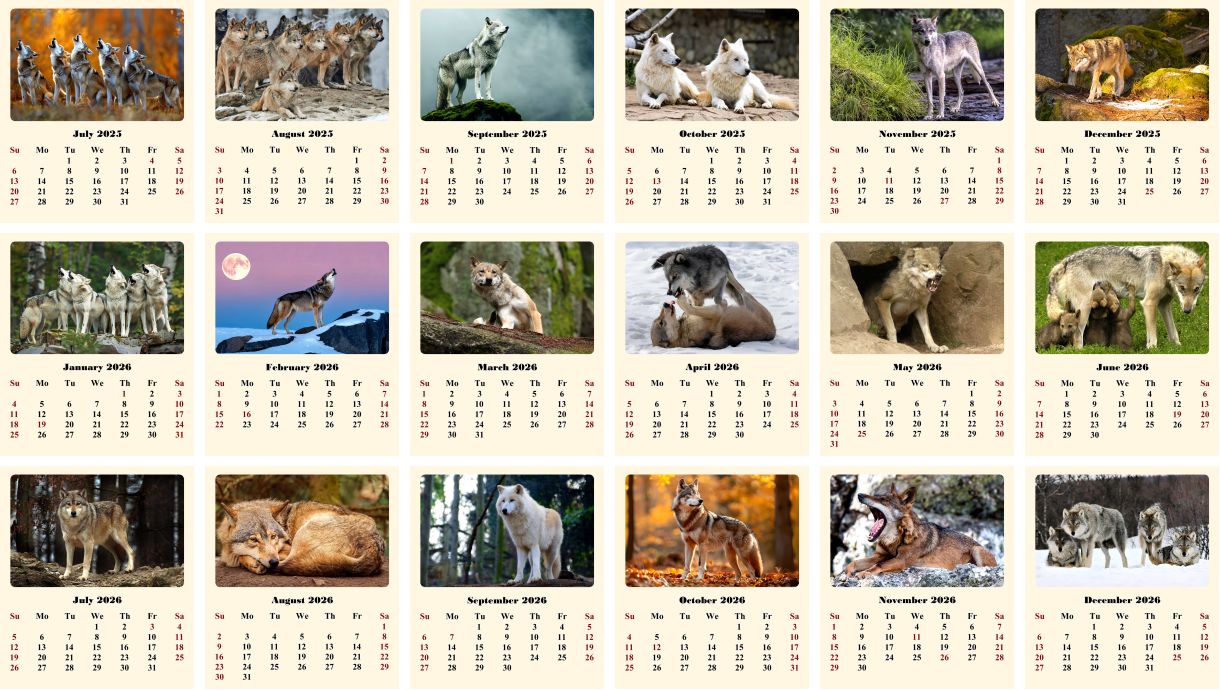 2025-2026 CD-Style Desk Calendar 18 Months Calendar (Wolves)