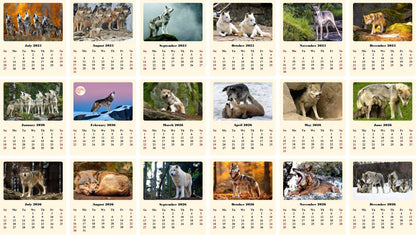 2025-2026 CD-Style Desk Calendar 18 Months Calendar (Wolves)