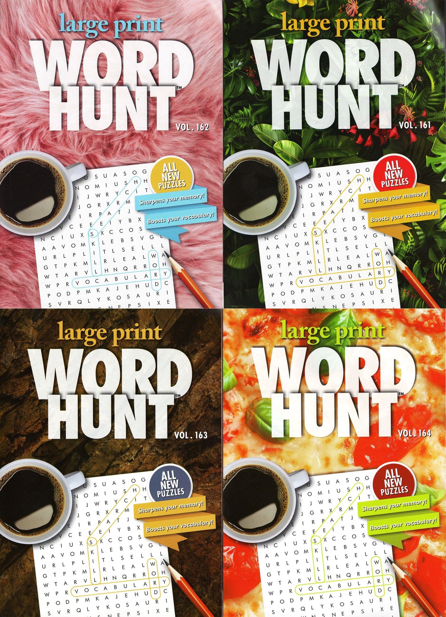 Large Print Word Hunt - All New Puzzles - Vol.161,162,163,164