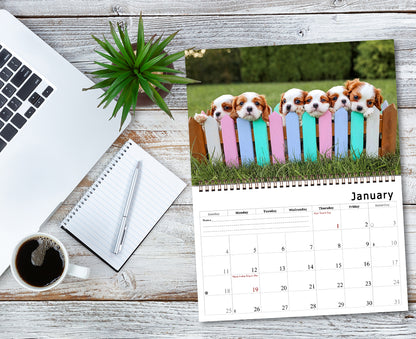 2026 Spiral-bound Wall Calendar (Puppies) - 12 Months Desktop/Wall Calendar/Planner