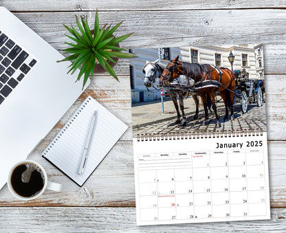 2025 Spiral-bound Wall Calendar (Horses) - 12 Months Desktop/Wall Calendar/Planner