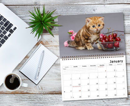 2026 Spiral-bound Wall Calendar (Kittens) - 12 Months Desktop/Wall Calendar/Planner
