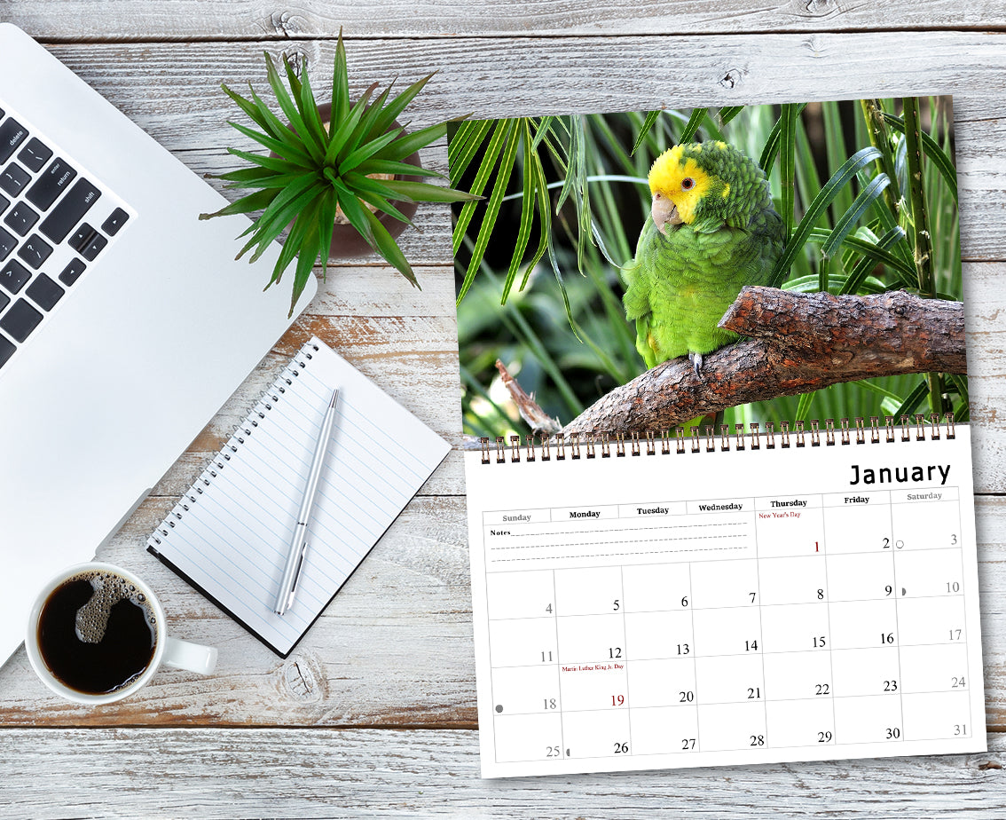 2027 Spiral-bound Wall Calendar (Exotic Birds) - 12 Months Desktop/Wall Calendar/Planner