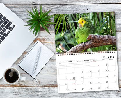 2027 Spiral-bound Wall Calendar (Exotic Birds) - 12 Months Desktop/Wall Calendar/Planner