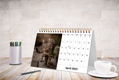 2027-12 Months Desk Calendar Desktop Planner with To-Do List (Cats)