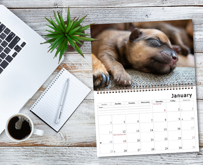 2026 Spiral-bound Wall Calendar (Dogs) - 12 Months Desktop/Wall Calendar/Planner