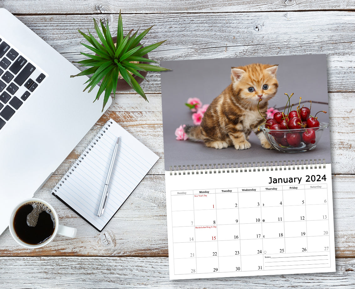 2024 Spiral-bound Wall Calendar (Cats) - 12 Months Desktop/Wall Calendar/Planner