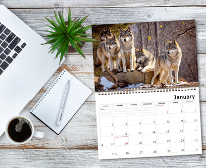 2026 Spiral-bound Wall Calendar (Wolves) - 12 Months Desktop/Wall Calendar/Planner