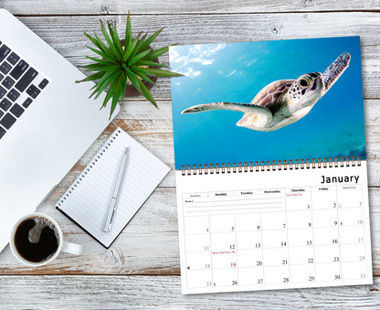 2026 Spiral-bound Wall Calendar (Sea Turtles) - 12 Months Desktop/Wall Calendar/Planner