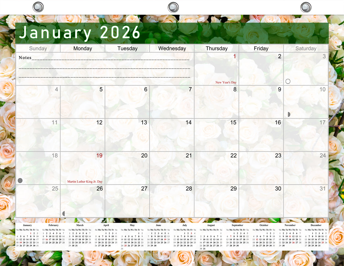 2025 - 2026 Student Calendar/Planner for 3-Ring Binder, Desk, or Wall - v023