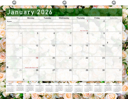 2025 - 2026 Student Calendar/Planner for 3-Ring Binder, Desk, or Wall - v023