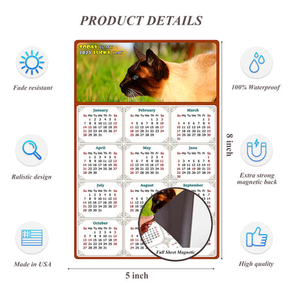 2025 Magnetic Calendar - Today is My Lucky Day (Fade, Tear, and Water Resistant)- Cat Themed 03