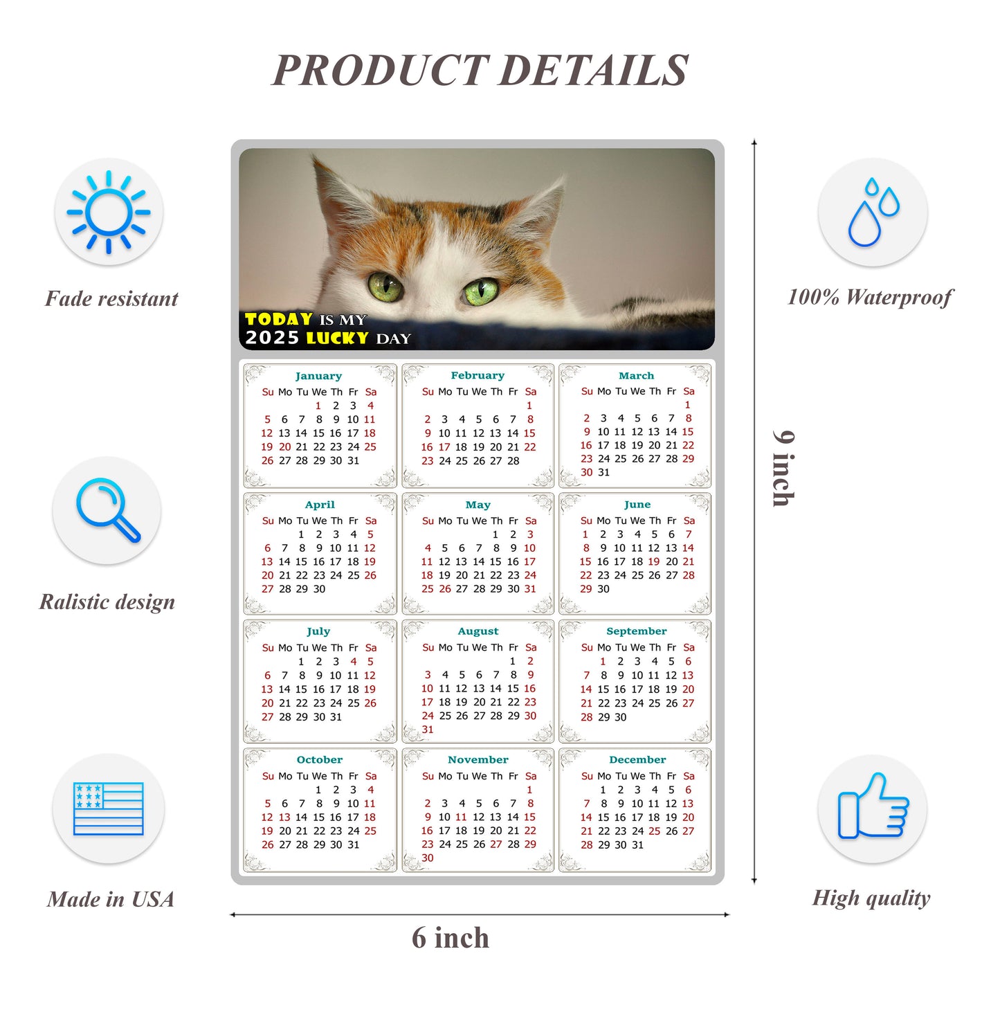 2025 Peel & Stick Calendar - Today is my Lucky Day Removable - Cat 012 (9"x 6")
