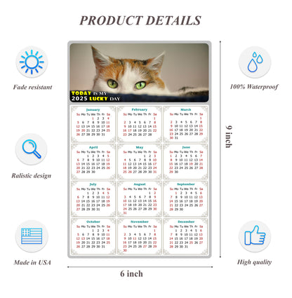2025 Peel & Stick Calendar - Today is my Lucky Day Removable - Cat 012 (9"x 6")