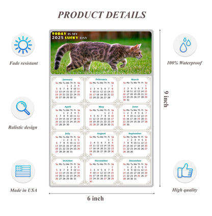 2025 Peel & Stick Calendar - Today is my Lucky Day Removable - Cat 09 (9"x 6")