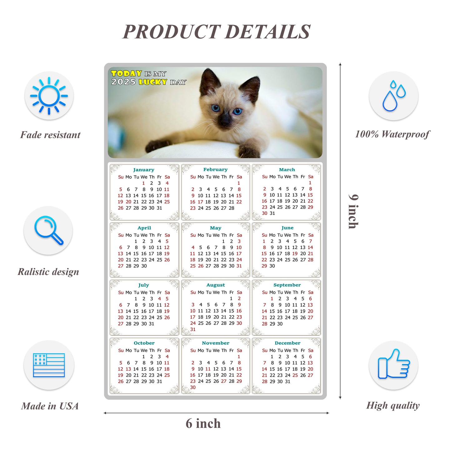 2025 Peel & Stick Calendar - Today is my Lucky Day Removable - Cat 013 (9"x 6")