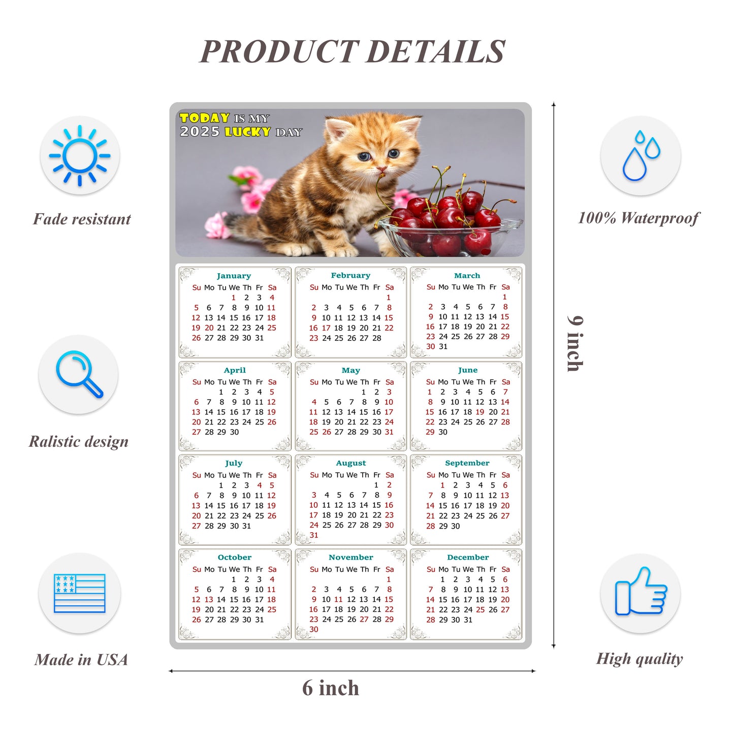 2025 Peel & Stick Calendar - Today is my Lucky Day Removable - Cat 016 (9"x 6")