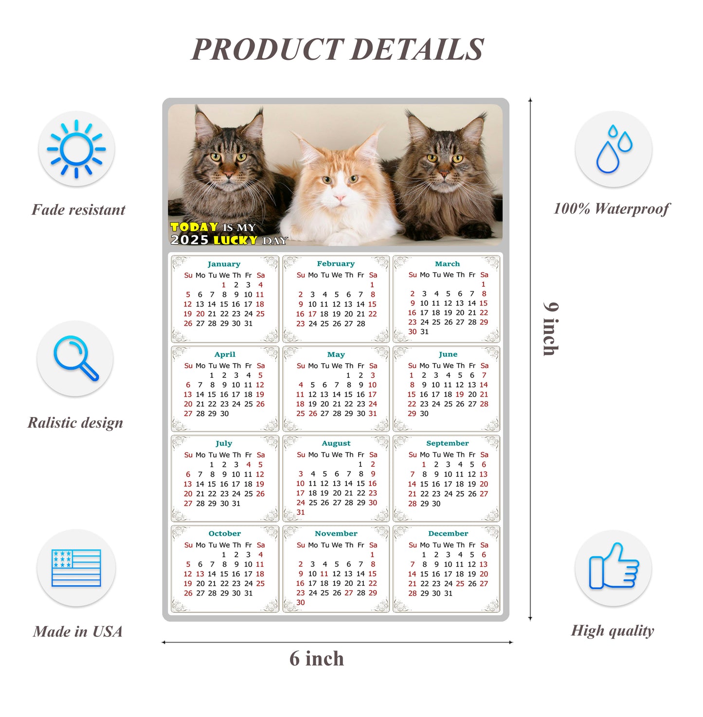 2025 Peel & Stick Calendar - Today is my Lucky Day Removable - Cat 015 (9"x 6")