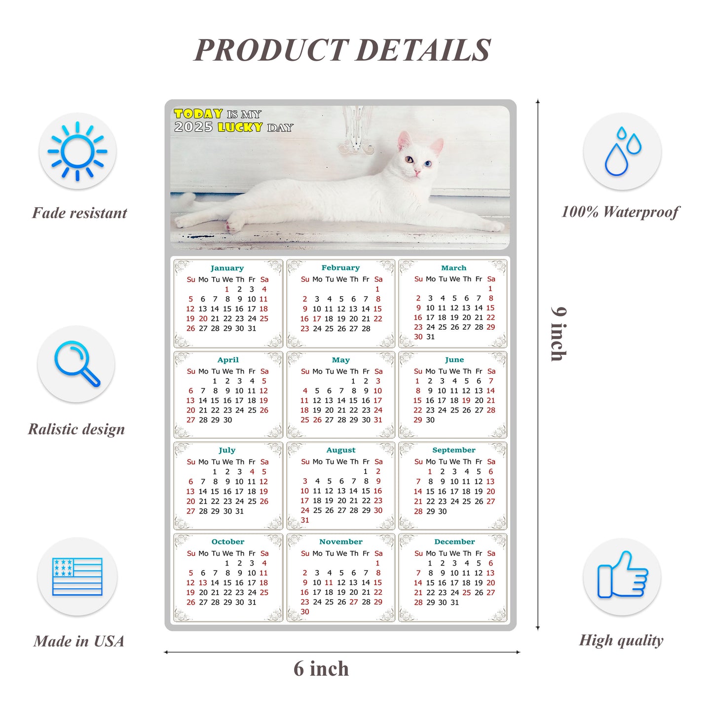 2025 Peel & Stick Calendar - Today is my Lucky Day Removable - Cat 06 (9"x 6")