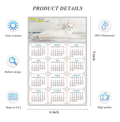 2025 Peel & Stick Calendar - Today is my Lucky Day Removable - Cat 06 (12"x 8")