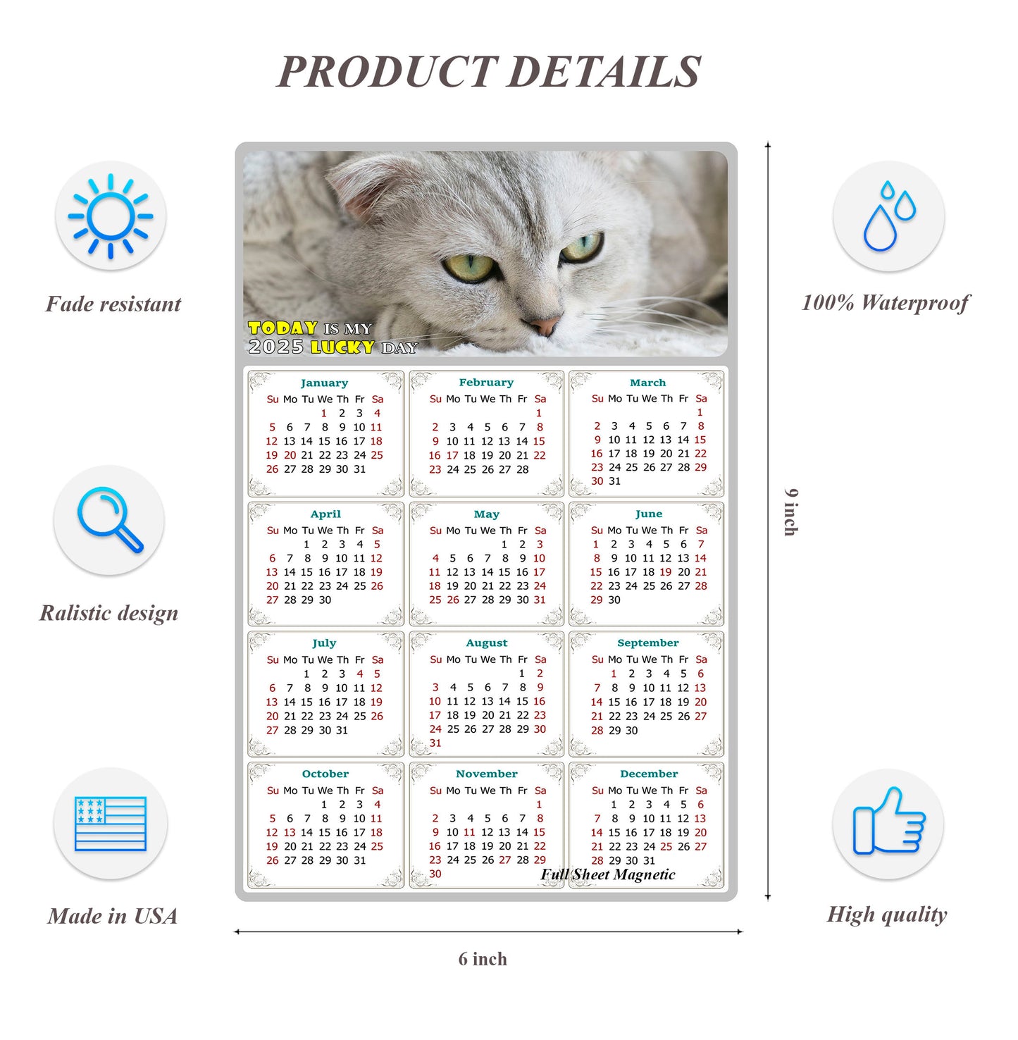 2027 Peel & Stick Calendar - Today is my Lucky Day Removable - Cat 01 (9"x 6")
