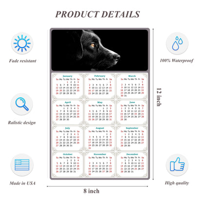2026 Peel & Stick Calendar - Today is my Lucky Day Removable - Dogs 05 (12"x 8")