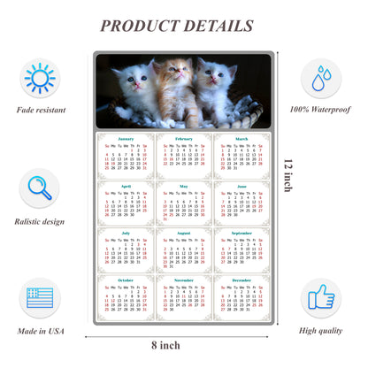 2026 Peel & Stick Calendar - Today is my Lucky Day Removable - Cat 011 (12"x 8")