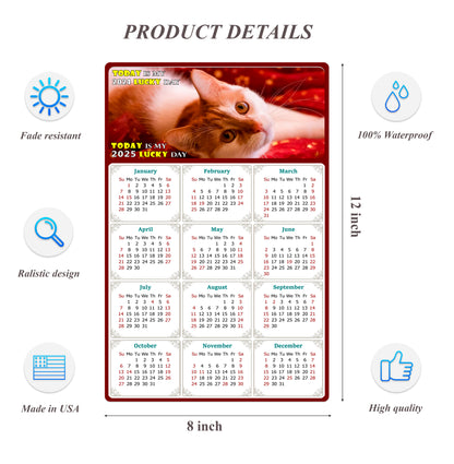 2025 Peel & Stick Calendar - Today is my Lucky Day Removable - Cat 07 (12"x 8")