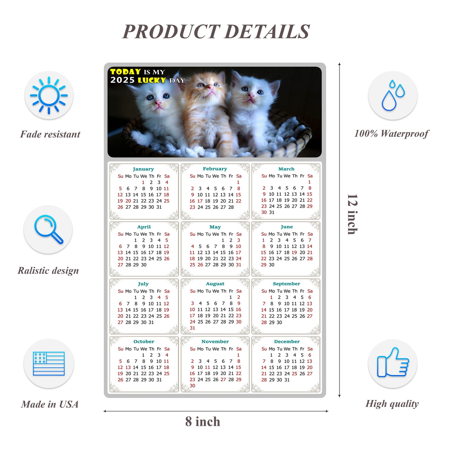 2025 Peel & Stick Calendar - Today is my Lucky Day Removable - Cat 011 (12"x 8")