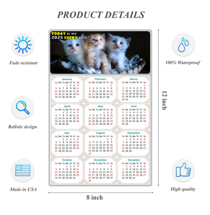 2025 Peel & Stick Calendar - Today is my Lucky Day Removable - Cat 011 (12"x 8")
