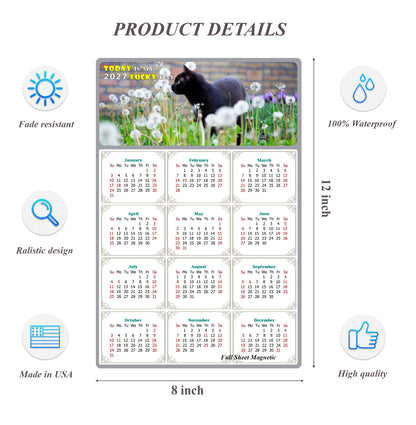 2027 Peel & Stick Calendar - Today is my Lucky Day Removable - Cat 05 (12"x 8")
