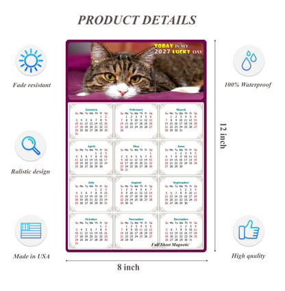 2027 Peel & Stick Calendar - Today is my Lucky Day Removable - Cat 022 (12"x 8")