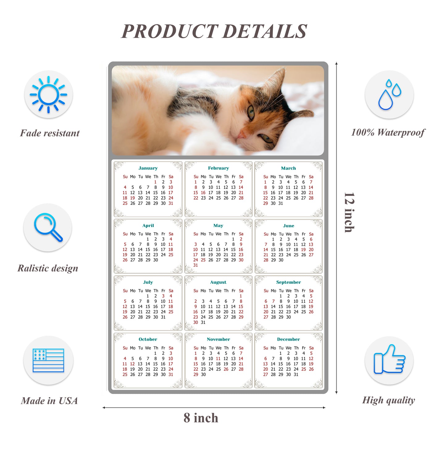 2026 Peel & Stick Calendar - Today is my Lucky Day Removable - Cat 04 (12"x 8")