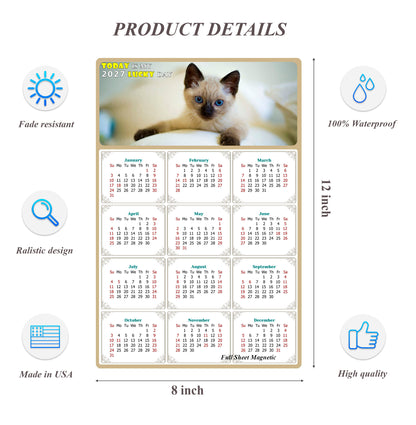 2027 Peel & Stick Calendar - Today is my Lucky Day Removable - Cat 013 (12"x 8")