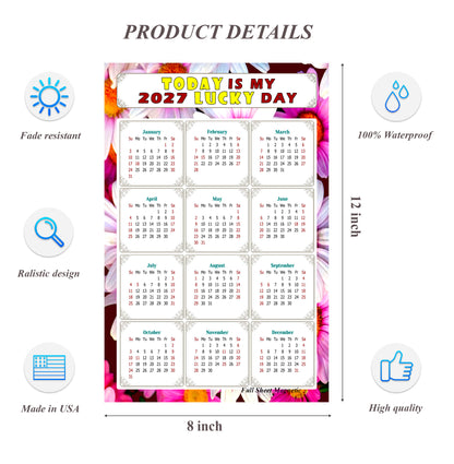 2027 Peel & Stick Calendar - Today is my Lucky Day Removable - 032