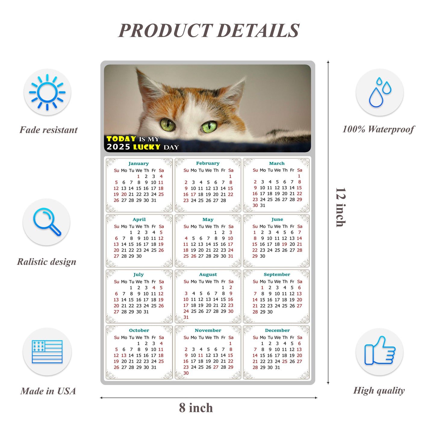 2025 Peel & Stick Calendar - Today is my Lucky Day Removable - Cat 012 (12"x 8")