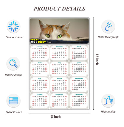2025 Peel & Stick Calendar - Today is my Lucky Day Removable - Cat 012 (12"x 8")