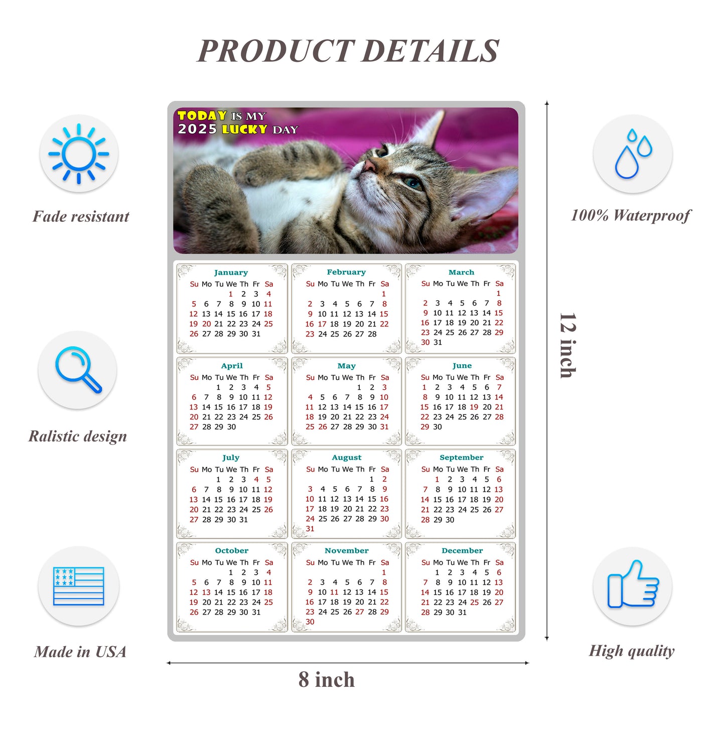 2025 Peel & Stick Calendar - Today is my Lucky Day Removable - Cat 08 (12"x 8")