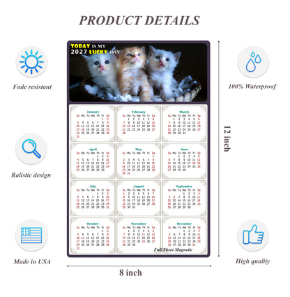 2027 Peel & Stick Calendar - Today is my Lucky Day Removable - Cat 011 (12"x 8")