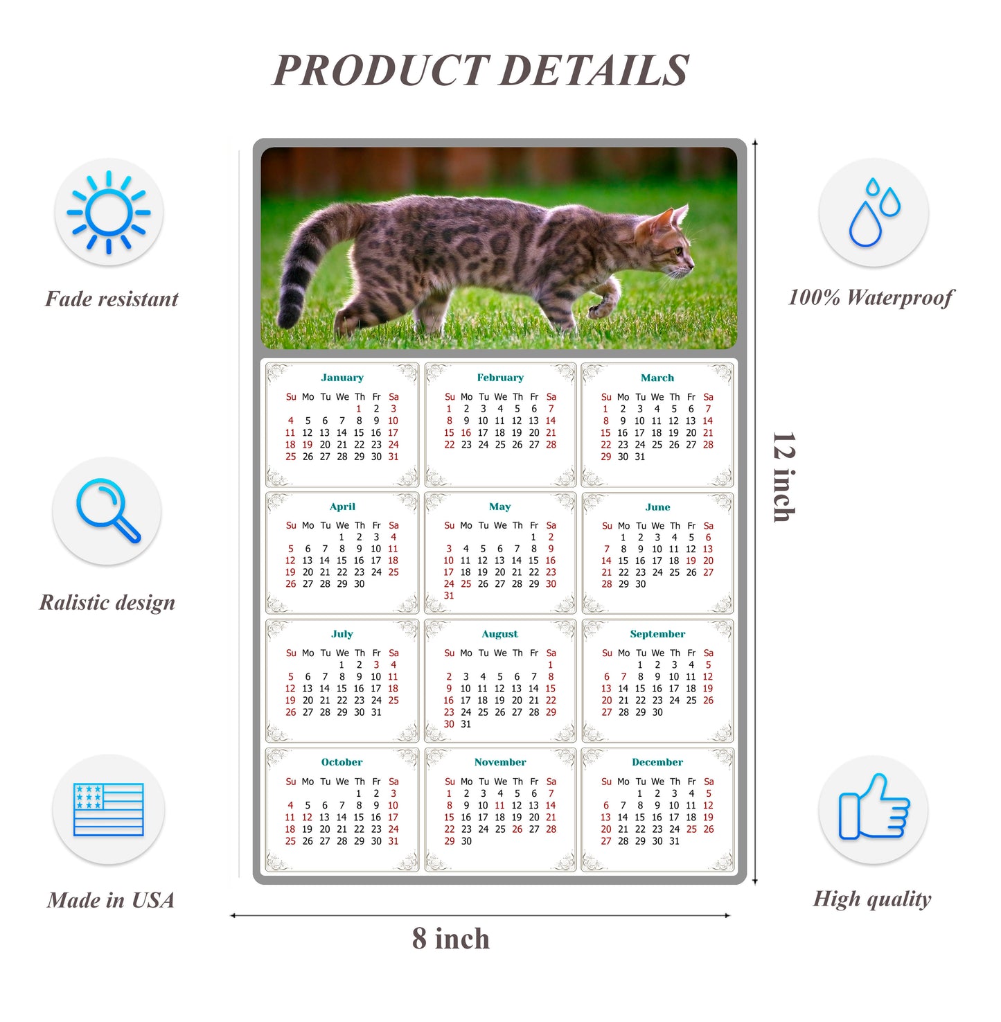 2026 Peel & Stick Calendar - Today is my Lucky Day Removable - Cat 09 (12"x 8")