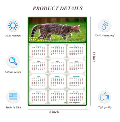 2027 Peel & Stick Calendar - Today is my Lucky Day Removable - Cat 09 (12"x 8")