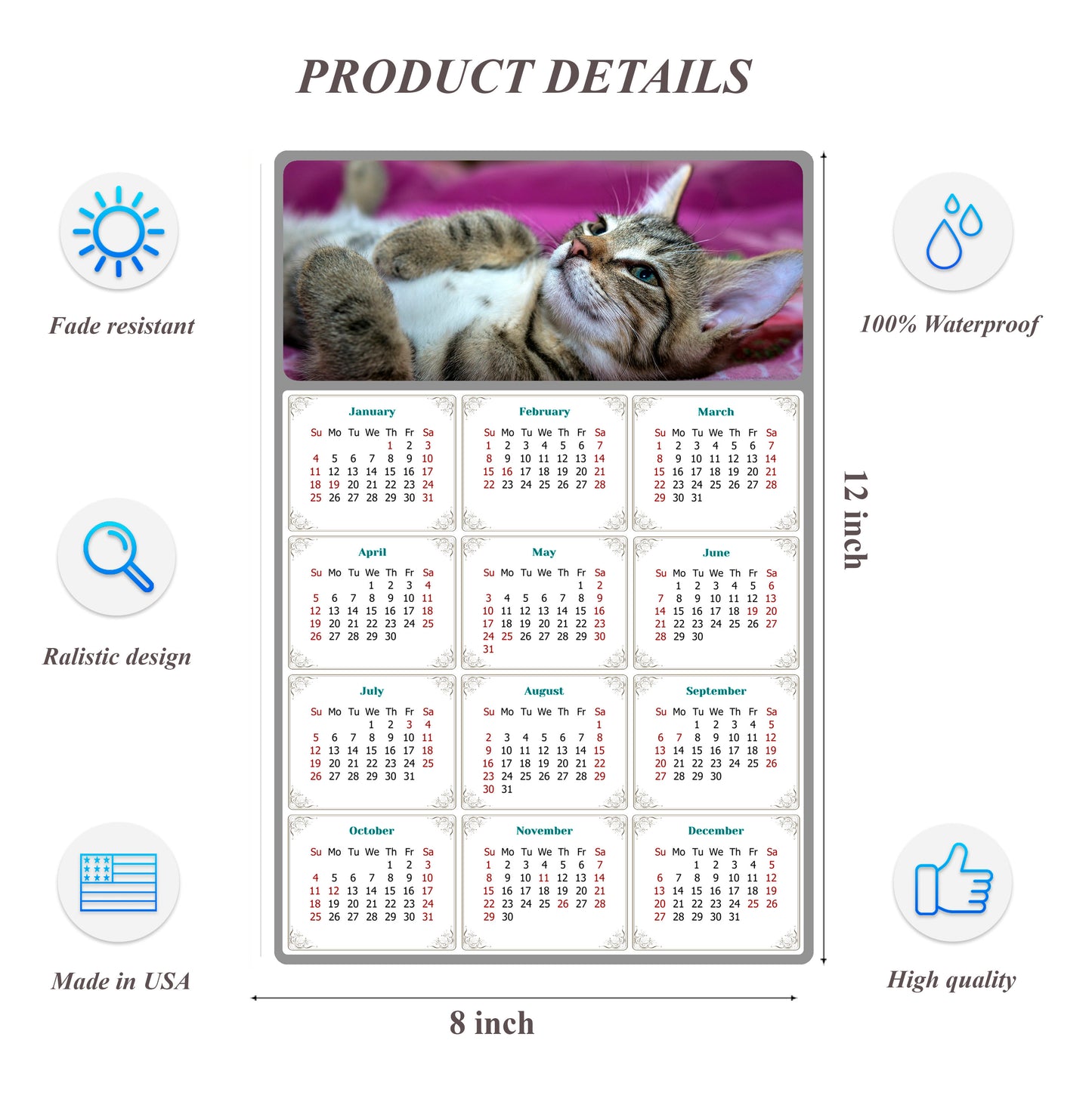 2026 Peel & Stick Calendar - Today is my Lucky Day Removable - Cat 08 (12"x 8")