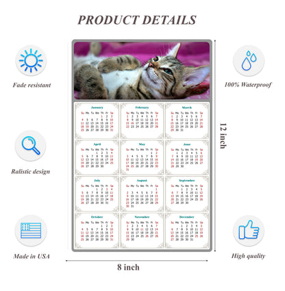 2026 Peel & Stick Calendar - Today is my Lucky Day Removable - Cat 08 (12"x 8")