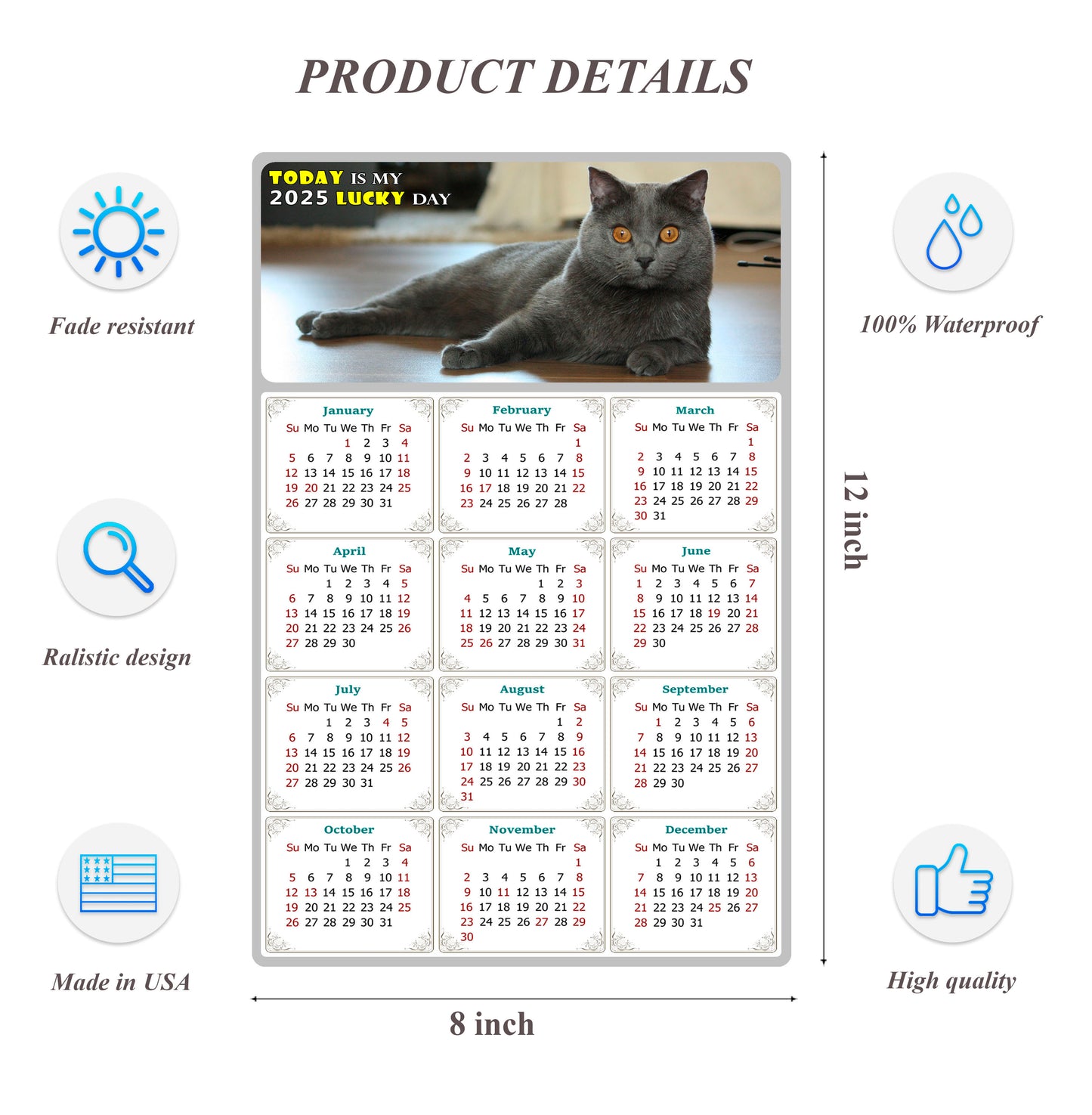 2025 Peel & Stick Calendar - Today is my Lucky Day Removable - Cat 014 (12"x 8")